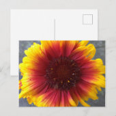 Levendige ventilator briefkaart (Voorkant / Achterkant)