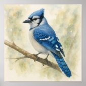 Levendige Waterverf Blue Jay op Branch Poster (Voorkant)