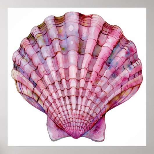 Levendige waterverf roze zeeschelp illustratie poster (Voorkant)