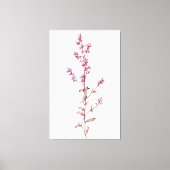 Levendige Waterverf Thyme Sprig Masterpiece Canvas Afdruk (Voorkant)