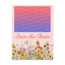 Levendige Wilde Bloemen  