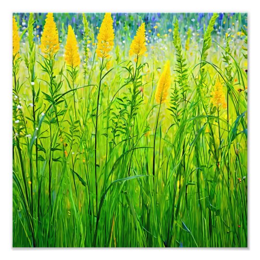 Levendige wilde bloemen in de zomerzon foto afdruk (Voorkant)