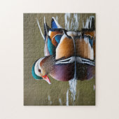 Levendige Wilde Eend Legpuzzel (Verticaal)