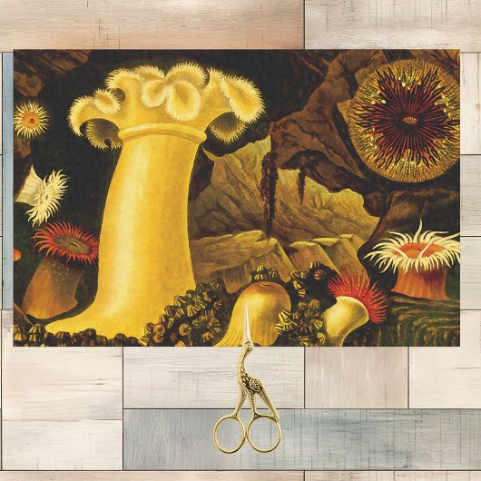 Levendige Zee Life Anemonen en koraal op zwart Tissuepapier