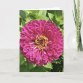Levendige Zinnia Bloem Foto Kaart (Voorkant)