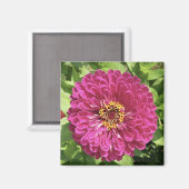 Levendige Zinnia Bloem Foto Magneet (Voorkant / Achterkant)