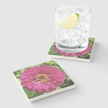 Levendige Zinnia Bloem Foto