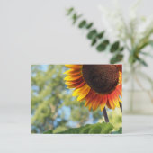 Levendige zomer zonnebloem briefkaart (Staand voorkant)