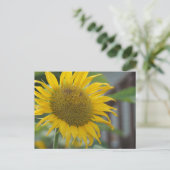 Levendige zomer zonnebloem briefkaart (Staand voorkant)