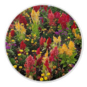 Levendige zomertuin in Orlando Florida Keramische Knop (Voorkant)