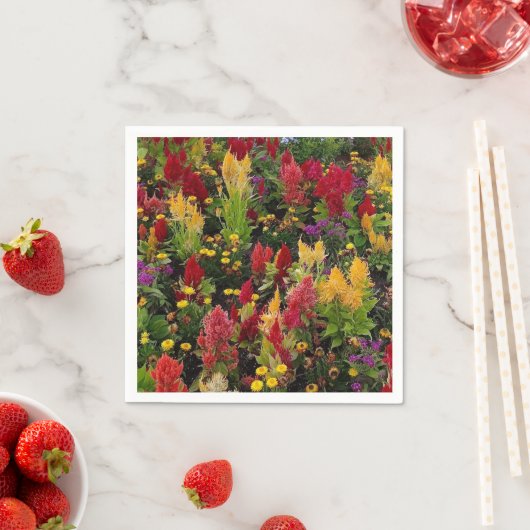 Levendige zomertuin in Orlando Florida Servetten (Insitu)