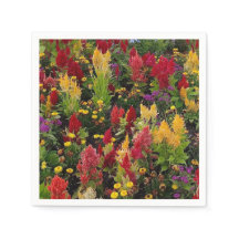 Levendige zomertuin in Orlando Florida