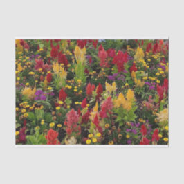 Levendige zomertuin in Orlando Florida Tissuepapier