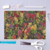 Levendige zomertuin in Orlando Florida Tissuepapier (Craft)