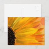 Levendige zonnebloem postkaart (Voorkant / Achterkant)