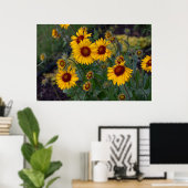 Levendige zonneschijn: Oranje zonnebloemen fotogra Poster (Thuiskantoor)