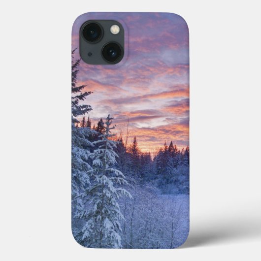 Levendige zonsondergang kleurt de lucht boven wint Case-Mate iPhone case (Achterkant)