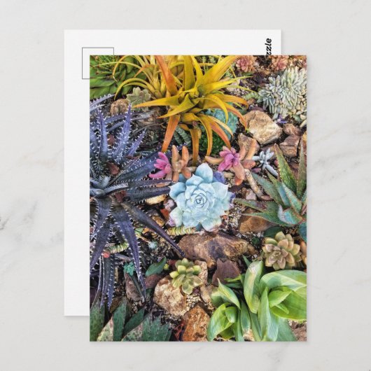 Levendige zoogtuin briefkaart (Voorkant / Achterkant)