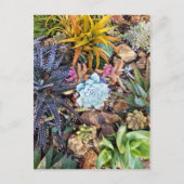 Levendige zoogtuin briefkaart (Voorkant)