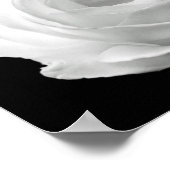 levendige zwarte en witte foto van floral poster (Hoek)