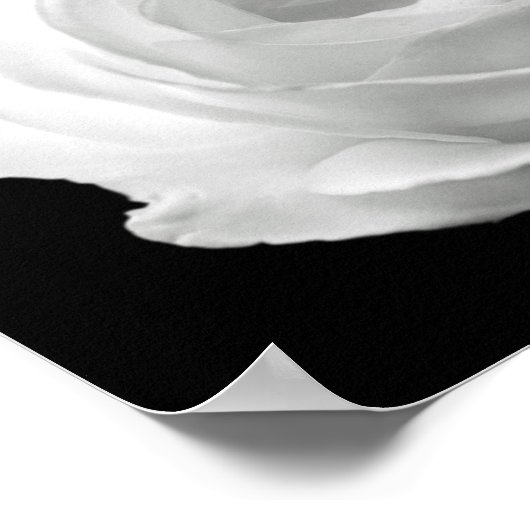 levendige zwarte en witte foto van floral poster (Hoek)