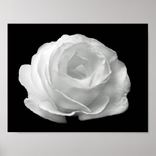 levendige zwarte en witte foto van floral poster