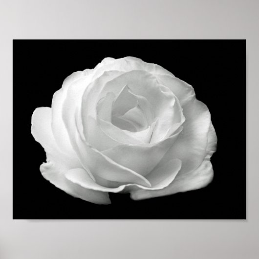 levendige zwarte en witte foto van floral poster (Voorkant)