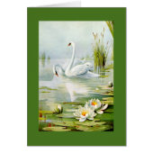 Levendige  zwemmen (Voorkant)