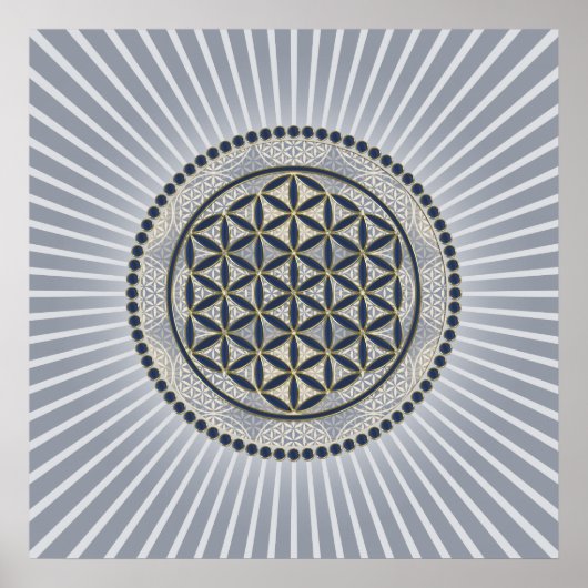 Levenflank / Blume des lebens - Button IX Poster (Voorkant)