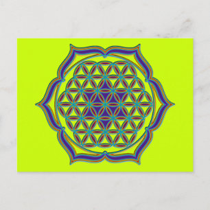 Levenflank / Blume des lebens - Lotus Contour Briefkaart
