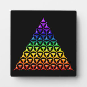 Levenflank / Blume des lebens - piramide chakra Fotoplaat