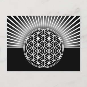 Levenflank / Blume des Lebens - wit vlak Briefkaart