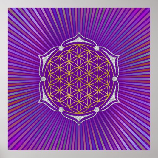 Levenflens - Lotus gold Silver Poster (Voorkant)