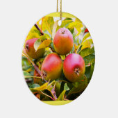 Levenrode appels keramisch ornament (Rechts)