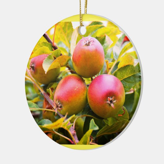 Levenrode appels keramisch ornament (Links)