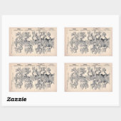 "Levensboom" 1859 illustratie door Ernst Haeckel Rechthoekige Sticker (Vel)