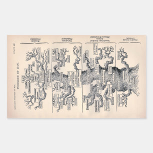 "Levensboom" 1859 illustratie door Ernst Haeckel Rechthoekige Sticker