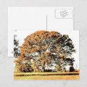 Levensboom Briefkaart (Voorkant / Achterkant)