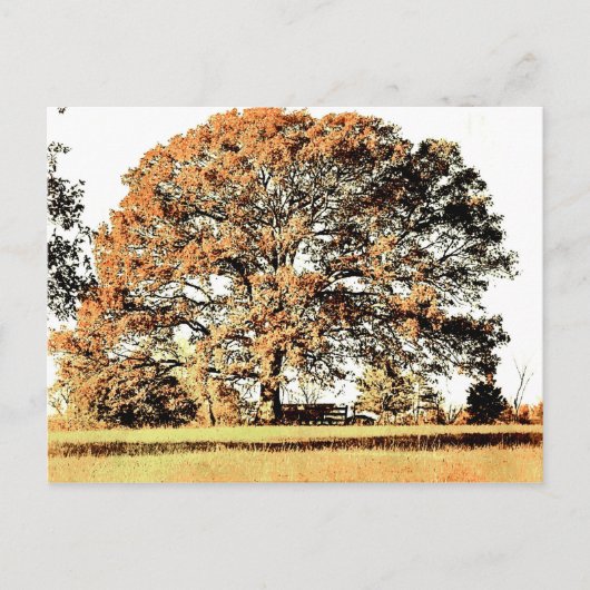 Levensboom Briefkaart (Voorkant)