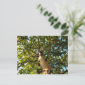 Levensboom Briefkaart (Staand voorkant)