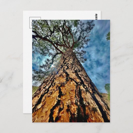 Levensboom Briefkaart (Voorkant / Achterkant)