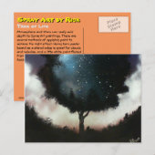 Levensboom Briefkaart (Voorkant / Achterkant)