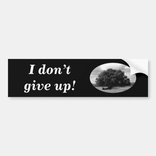 Levensboom bumpersticker (Voorkant)