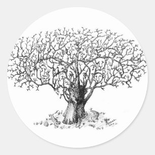 Levensboom - dieren ronde sticker
