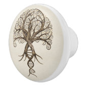 Levensboom - evolutie keramische knop (Rechts)