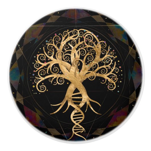 Levensboom - evolutie keramische knop (Voorkant)