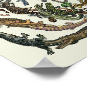 Levensboom - evolutie-Poster - kleur Poster (Hoek)