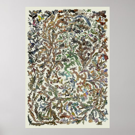Levensboom - evolutie-Poster - kleur Poster (Voorkant)