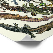 Levensboom - evolutie-Poster - kleur Poster (Hoek)