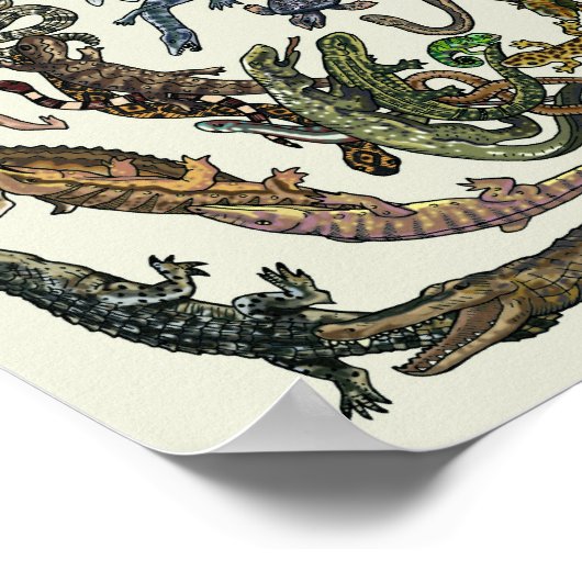 Levensboom - evolutie-Poster - kleur Poster (Hoek)